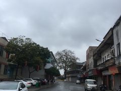 -黄连大头华烧鹅(萧地大马路店)