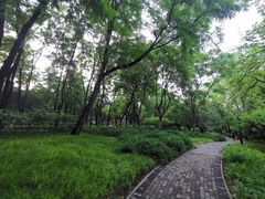 -玲珑塔公园