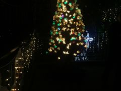 -宝莱纳啤酒花园餐厅PAULANER BRAUHAUS Nanjing(广州路店)