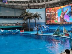 -海合安成都极地海洋公园