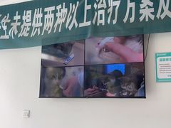-瑞派雷欧宠物医院·24h夜诊·心脏骨科牙科·全科重症转诊中心(无影山店)