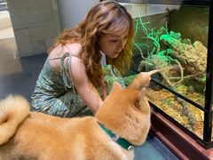 -帕帕拉兹宠物(亚洲旗舰店)