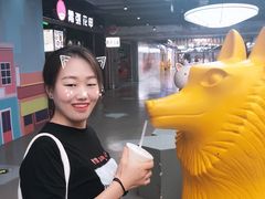 -合肥融创乐园