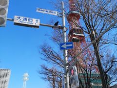 -札幌电视塔