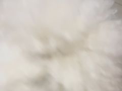 -瑞派福兴宠物医院犬猫全科·骨科·中西医结合(河东店)