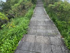 -大围山国家森林公园