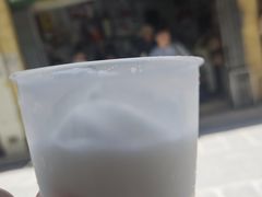 -洪馨椰子