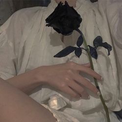 -丝客富脱发养发头皮馆