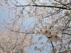 -玉山公园