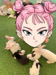 -萌宠亲子动物乐园(槐房万达店)