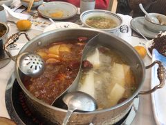 -菌子鲜汤野生菌锅