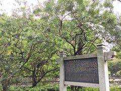 -晓港公园