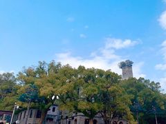 -江心屿景区