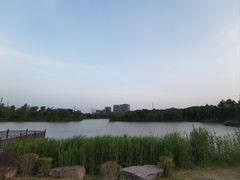 -九科绿洲
