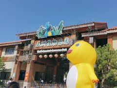 -南宫五洲植物乐园