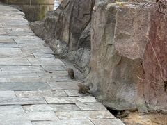 -北京张裕爱斐堡酒庄