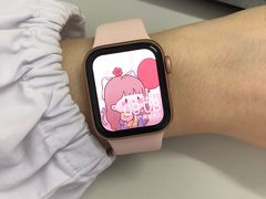 -Apple零售店(苏州店)