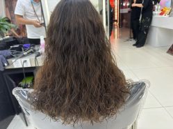 -FINE HAIR 烫染专业设计