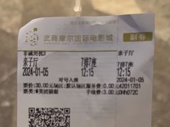 -武商摩尔影城(国广IMAX激光店)
