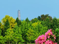 -北坞公园