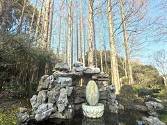 -上海醉白池公园