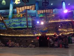 -青岛嘉年华主题乐园