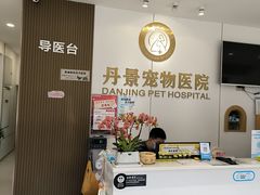 -丹景宠物医院·全科·老年病·牙科(武昌诊疗中心)