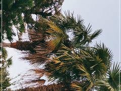 -抚仙湖禄充风景区