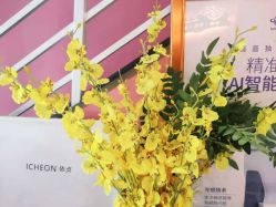 -Mirror care镜面皮肤管理