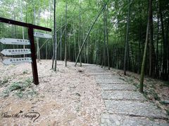 -宁波浙东大竹海景区