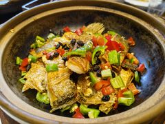 -张家卫·阳江菜·小海鲜(肥婆湾桥店)