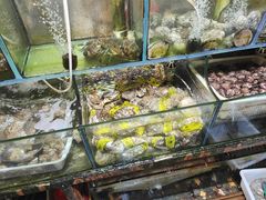 -来之顺海鲜菜馆·青岛菜(栈桥店)