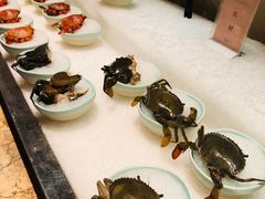 -雍和会海鲜姿造自助(湖东路店)
