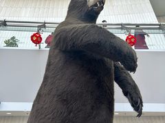 -天津自然博物馆