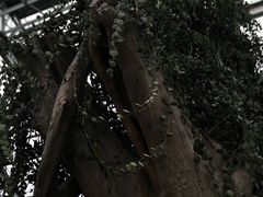 -南通洲际绿博园