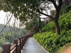 -小南山公园
