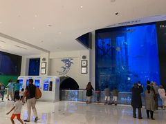 -迪拜水族馆及水下动物园