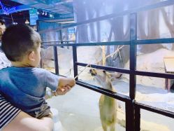 -酷嗒动物文化乐园(cutezoo西溪乐天城店)