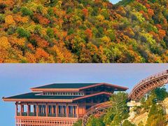 -少华山国家森林公园