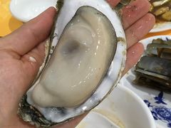 生蚝-蚝专家(北滘店)