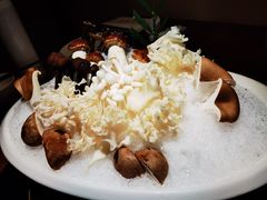 菌菇合盘-揽季锅物会.福建黄鱼.海鲜姿造(五四路店)