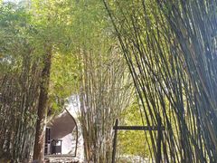 -三江森林温泉度假区