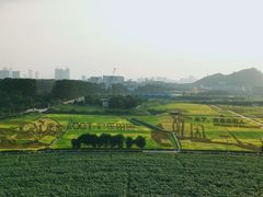 -光明小镇欢乐田园