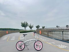 -DAHON大行折叠自行车(松江旗舰店)