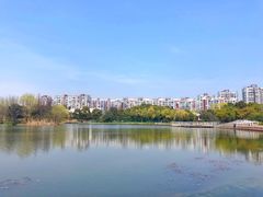 -新江湾城公园