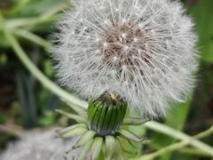 -广州神农草堂中医药博物馆
