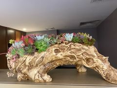 -城一锅涮烤羊蝎子·烤串