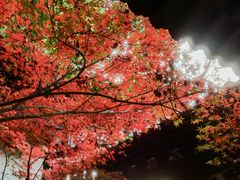 -钱王祠