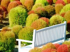 -花开海上生态园