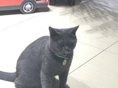 -小时光咖啡馆(开森度假森林店)